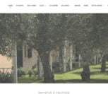 Win Win Web | Realizzazione Siti Matera | siti web matera | siti internet matera