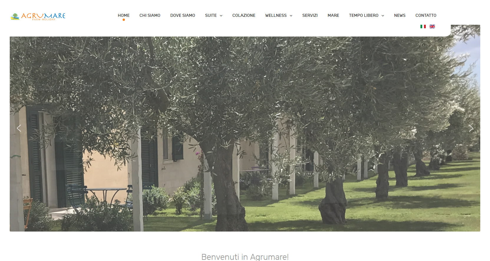 Win Win Web | Realizzazione Siti Matera | siti web matera | siti internet matera